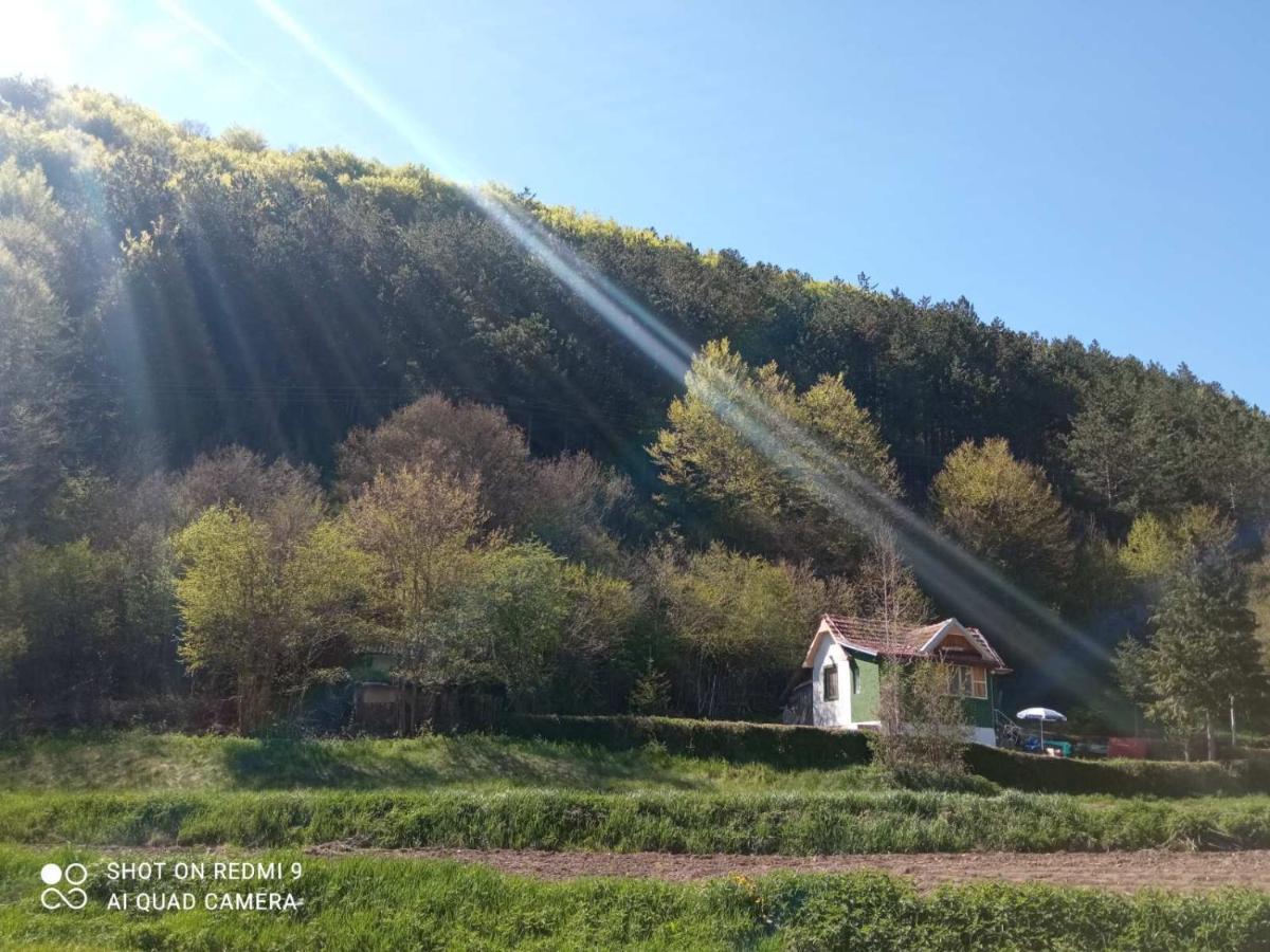 Vikendica Vrelo Пирот Экстерьер фото